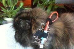 Marta-with-Kitty-Kollar-and-long-tube